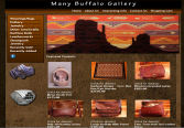 Professional Website Design - navajowoolrug