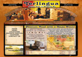 Professional Website Design - terlingua
